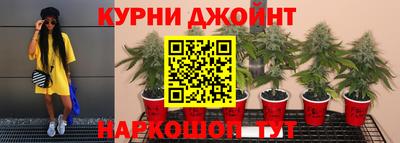 прущие грибы Ярославль