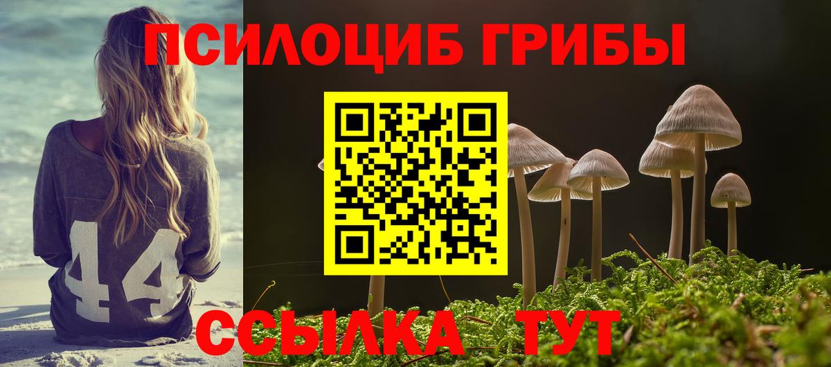 Галлюциногенные грибы прущие грибы Пушкино