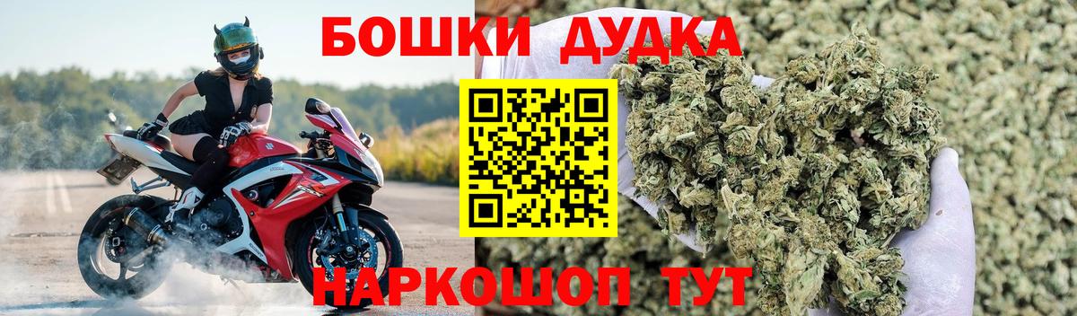 Конопля сатива Пушкино